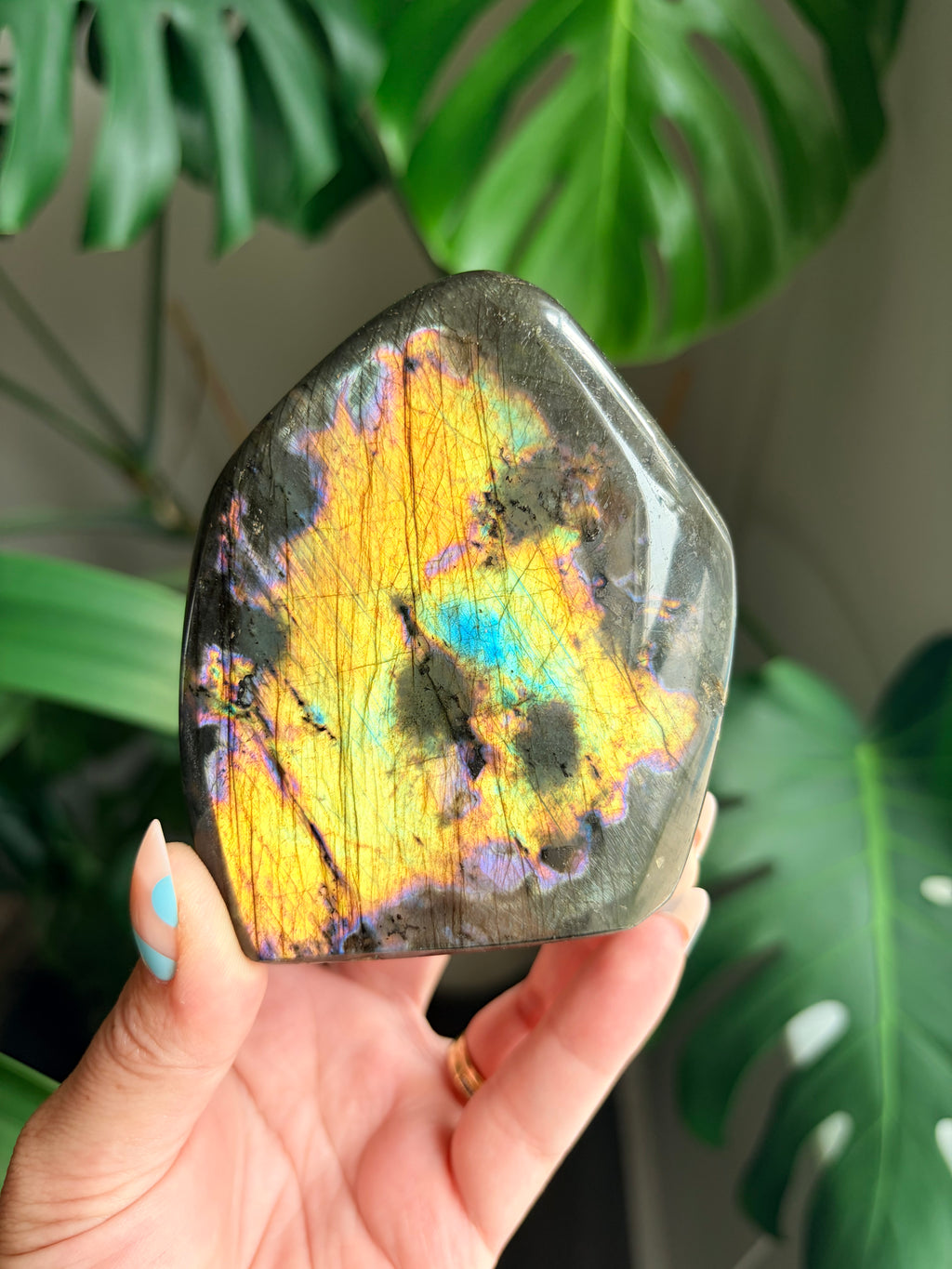 Stunning Flashy Labradorite Freeform | High Flash Natural Crystal Display Stone | Home Decor