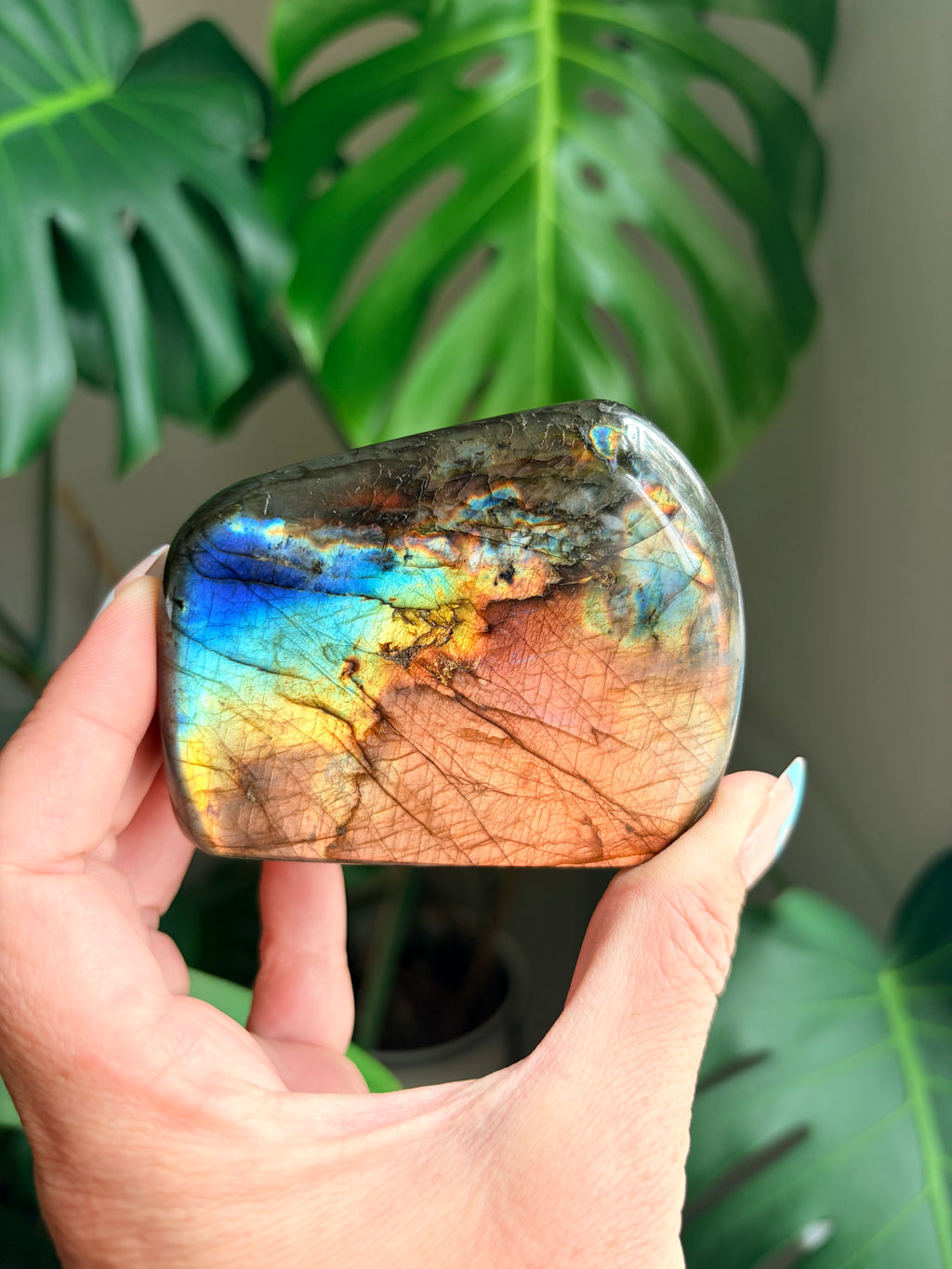 Stunning Flashy Labradorite Freeform | High Flash Natural Crystal Display Stone | Home Decor