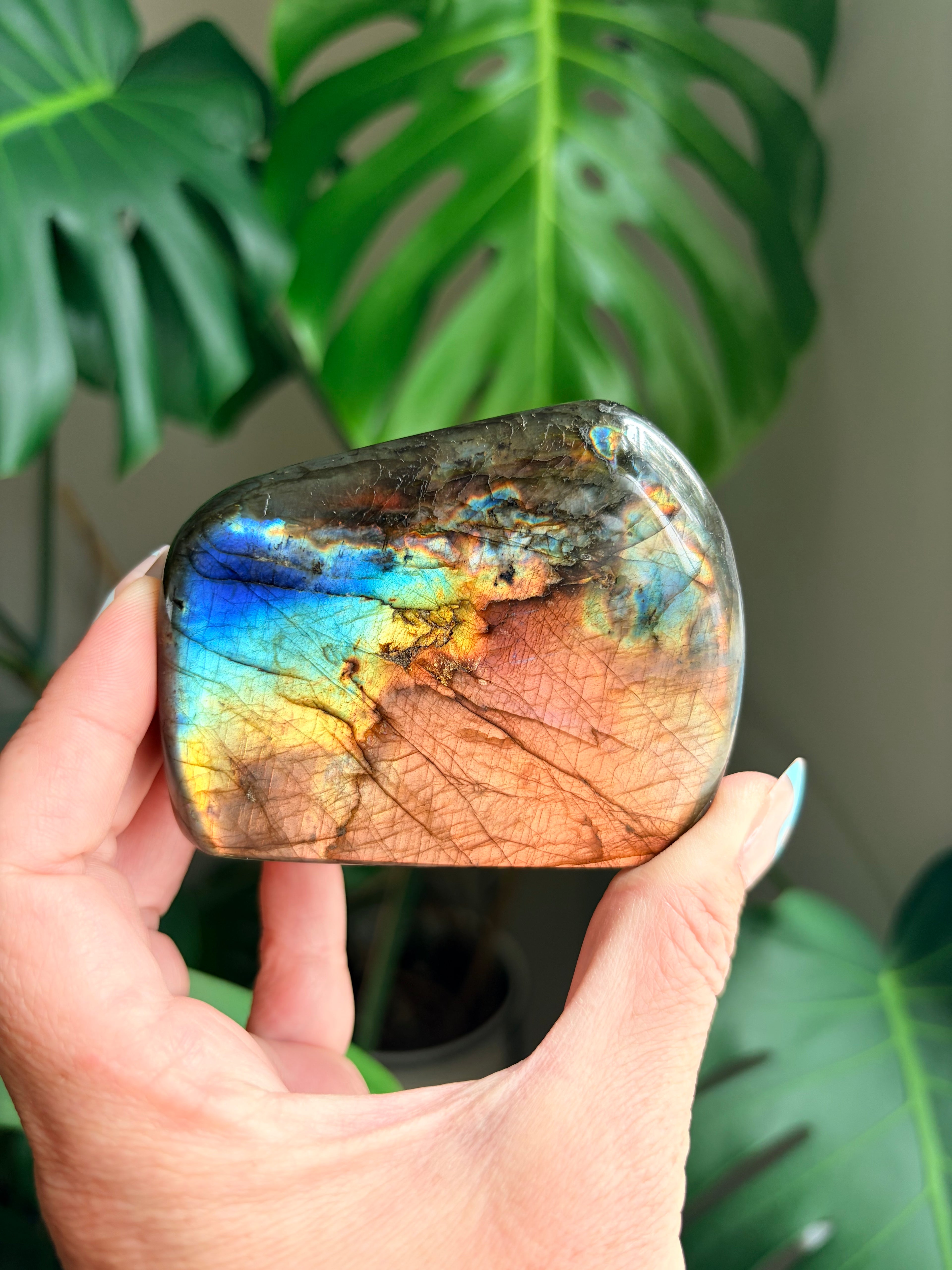 Stunning Flashy Labradorite Freeform | High Flash Natural Crystal Display Stone | Home Decor