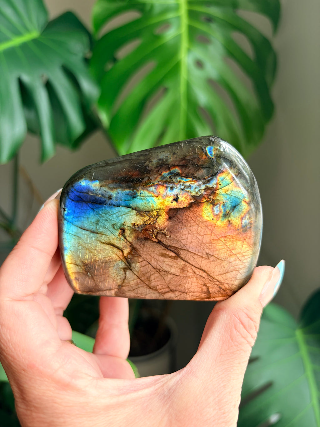 Stunning Flashy Labradorite Freeform | High Flash Natural Crystal Display Stone | Home Decor
