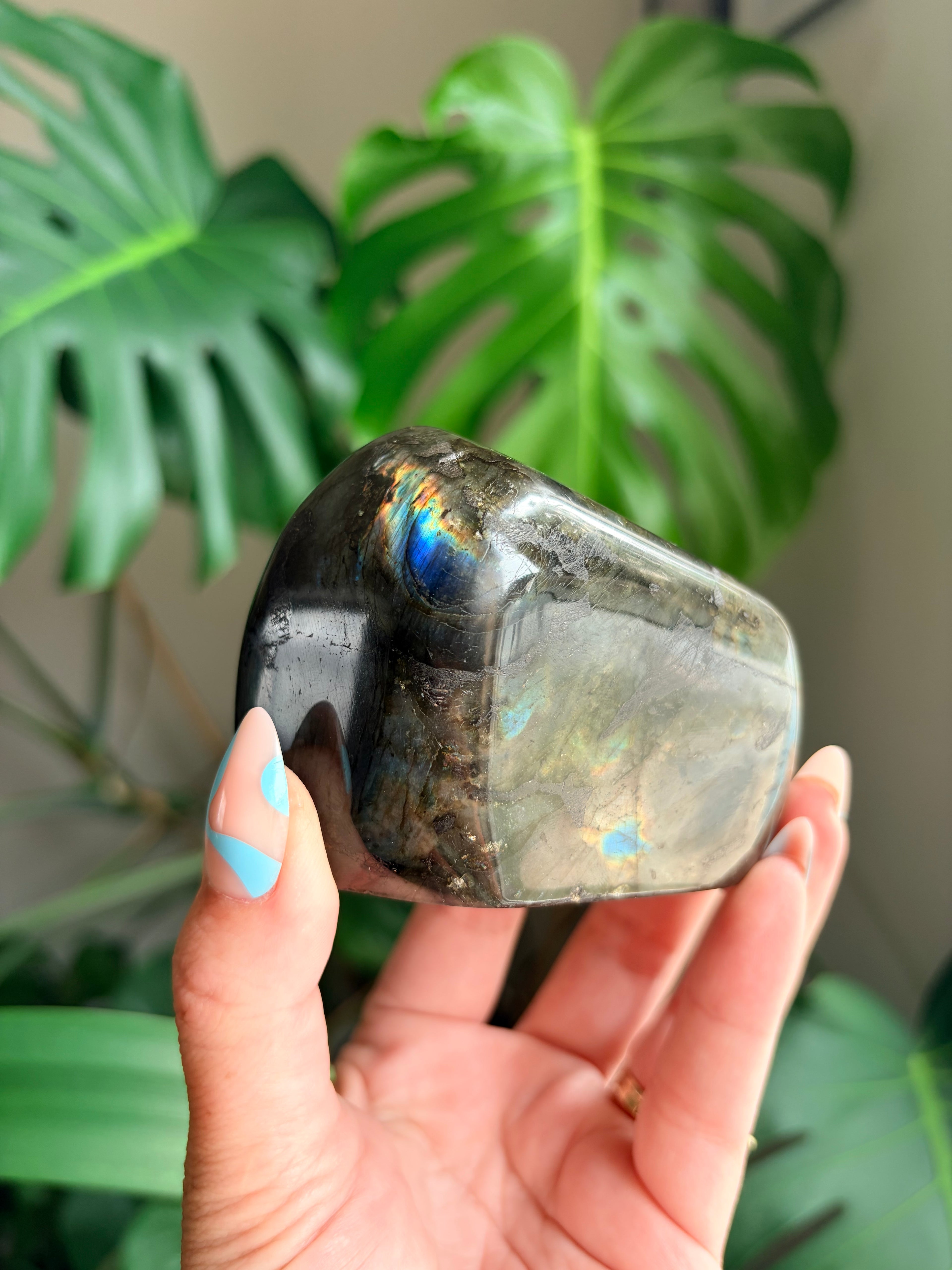 Stunning Flashy Labradorite Freeform | High Flash Natural Crystal Display Stone | Home Decor