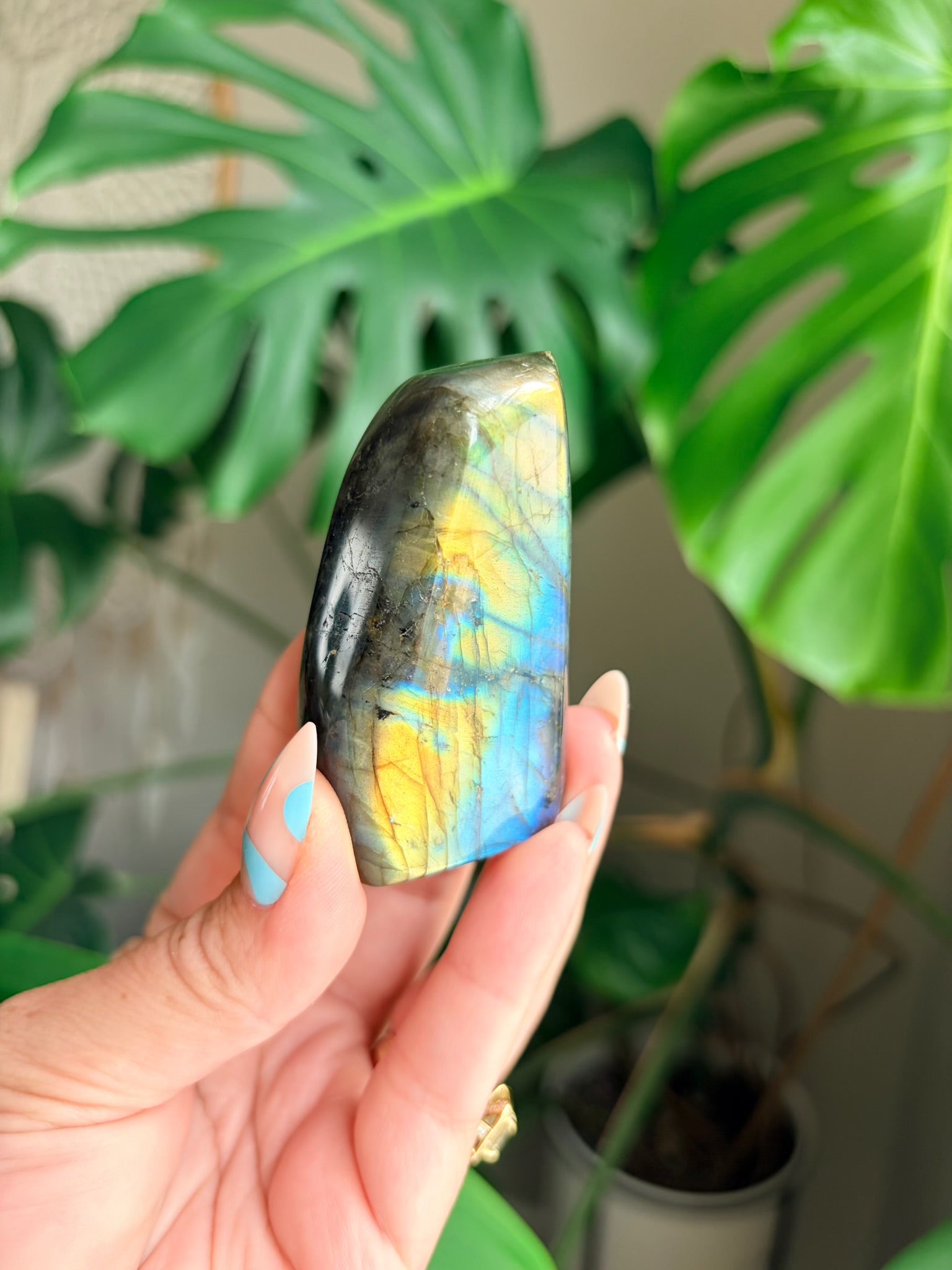 Stunning Flashy Labradorite Freeform | High Flash Natural Crystal Display Stone | Home Decor