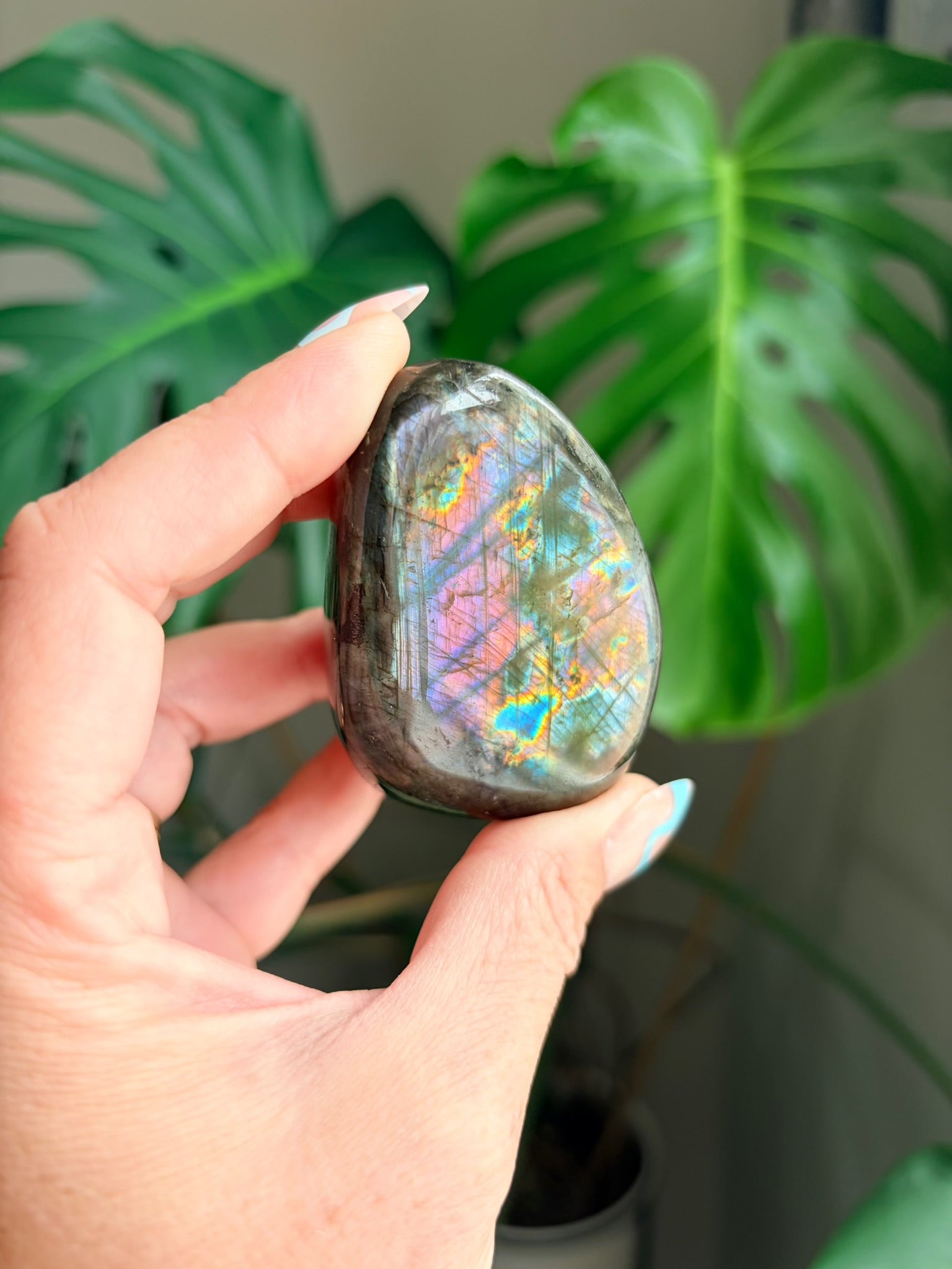 Stunning Flashy Labradorite Freeform | High Flash Natural Crystal Display Stone | Home Decor