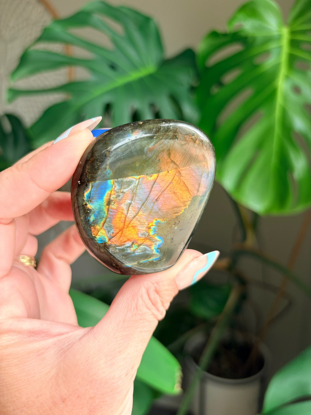 Stunning Flashy Labradorite Freeform | High Flash Natural Crystal Display Stone | Home Decor