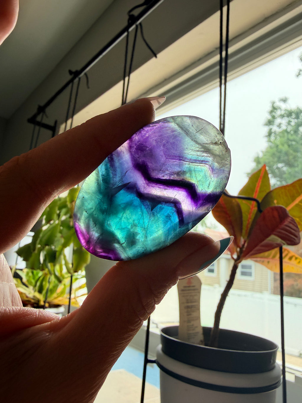 Rainbow Fluorite Palm Stone