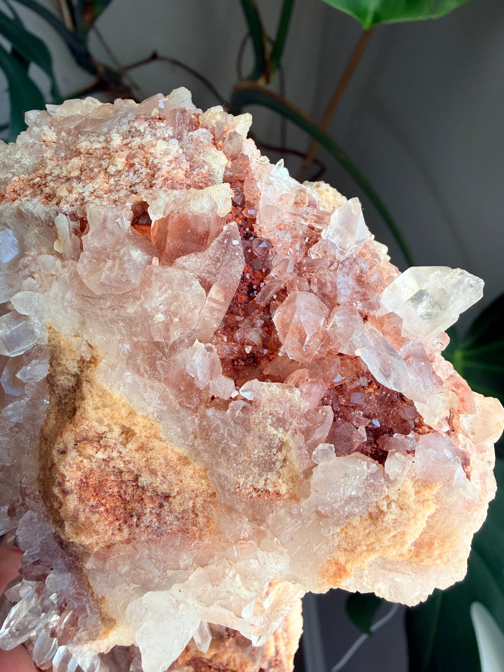 Raw Pink Samadhi Quartz Cluster