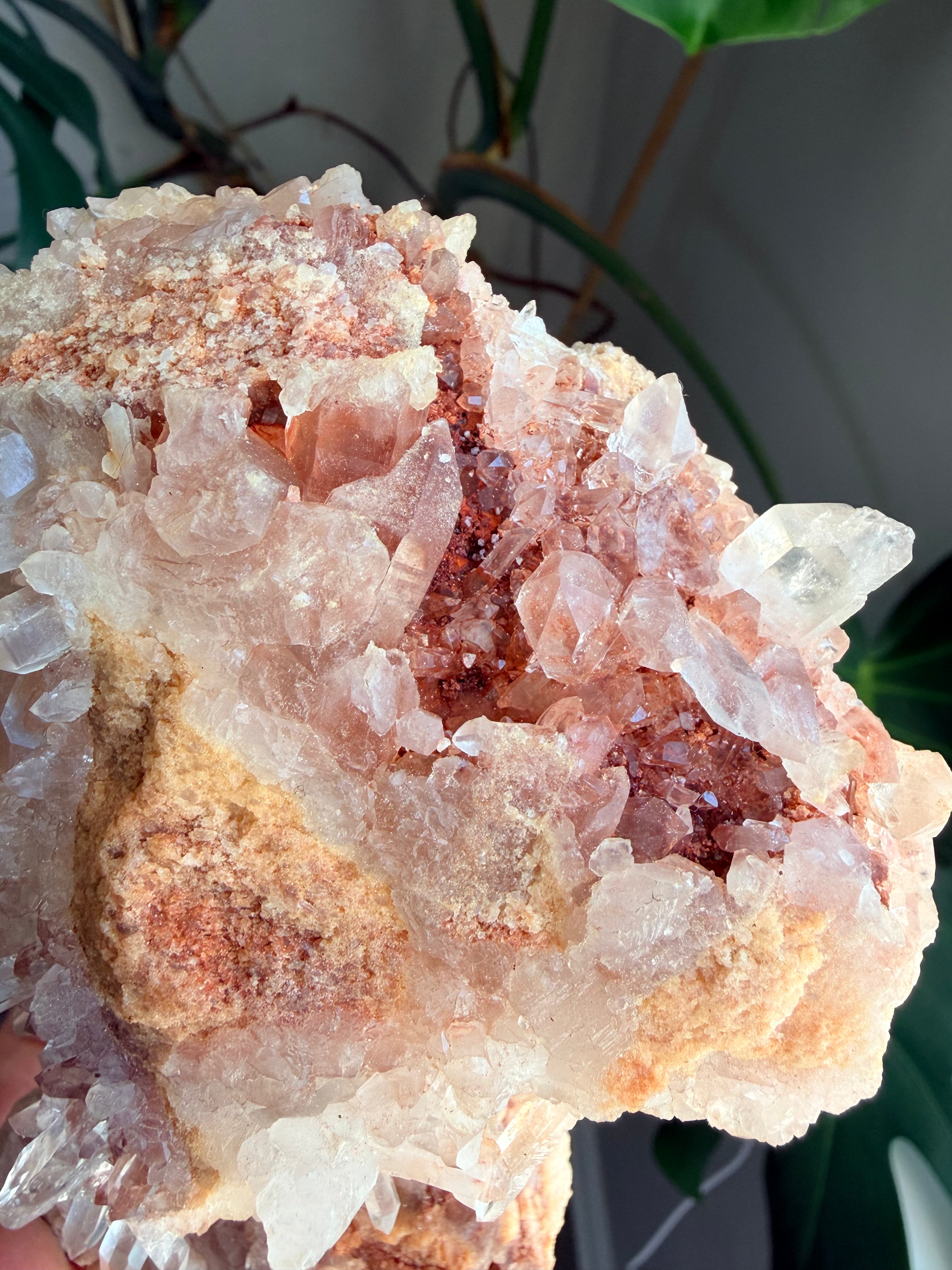 Raw Pink Samadhi Quartz Cluster
