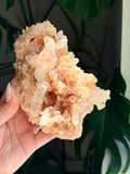 Raw Pink Samadhi Quartz Cluster