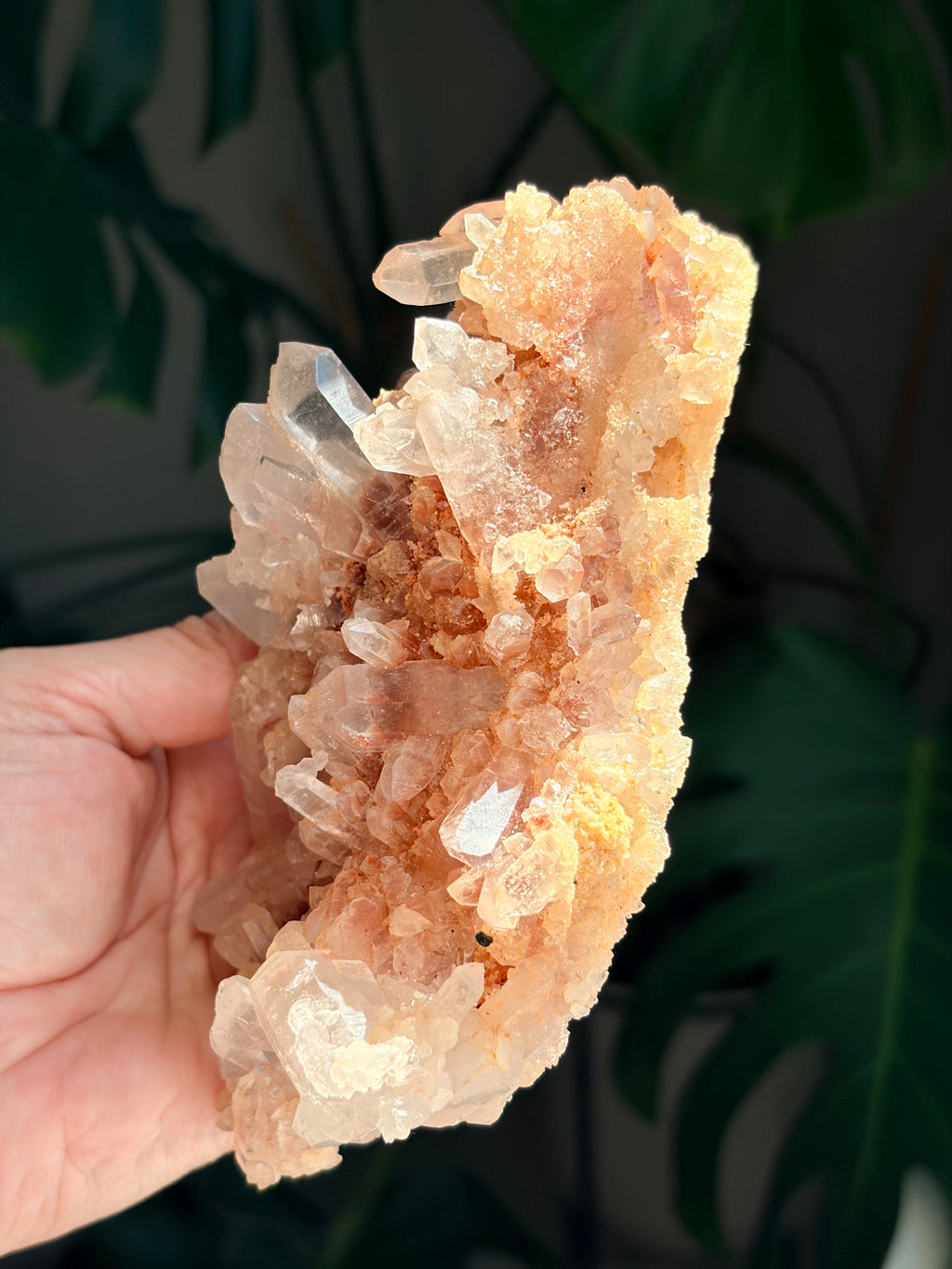 Raw Pink Samadhi Quartz Cluster
