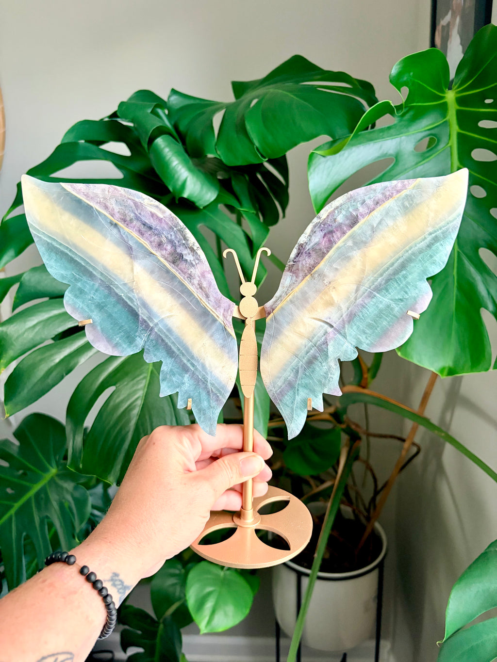 Pastel Rainbow Fluorite Butterfly Wings on Gold Stand
