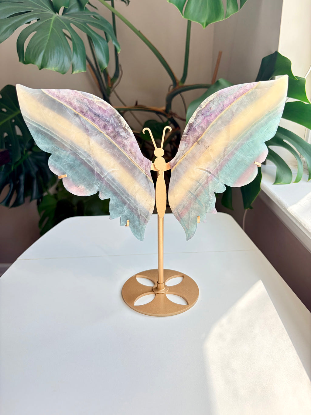 Pastel Rainbow Fluorite Butterfly Wings on Gold Stand