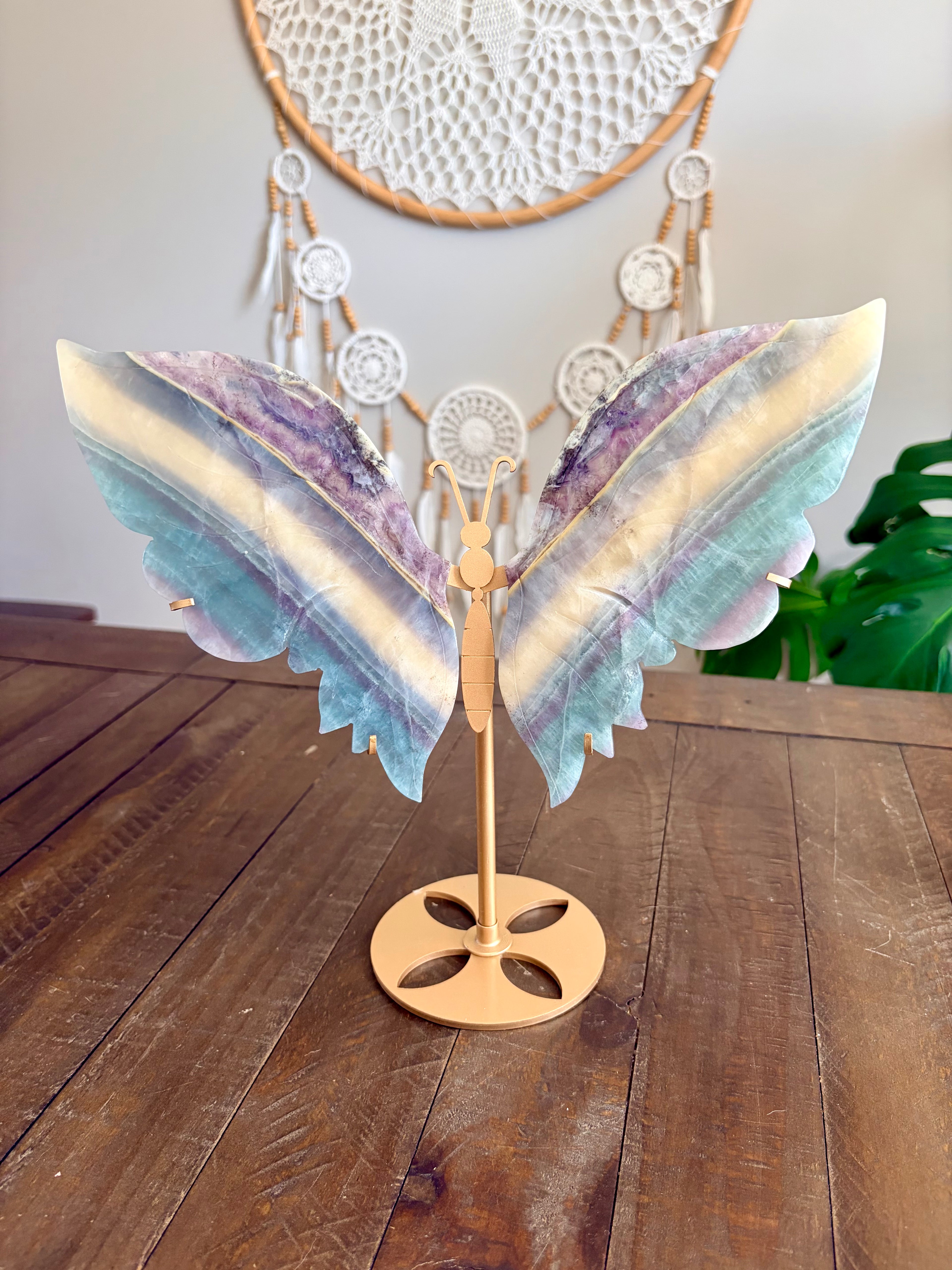 Pastel Rainbow Fluorite Butterfly Wings on Gold Stand