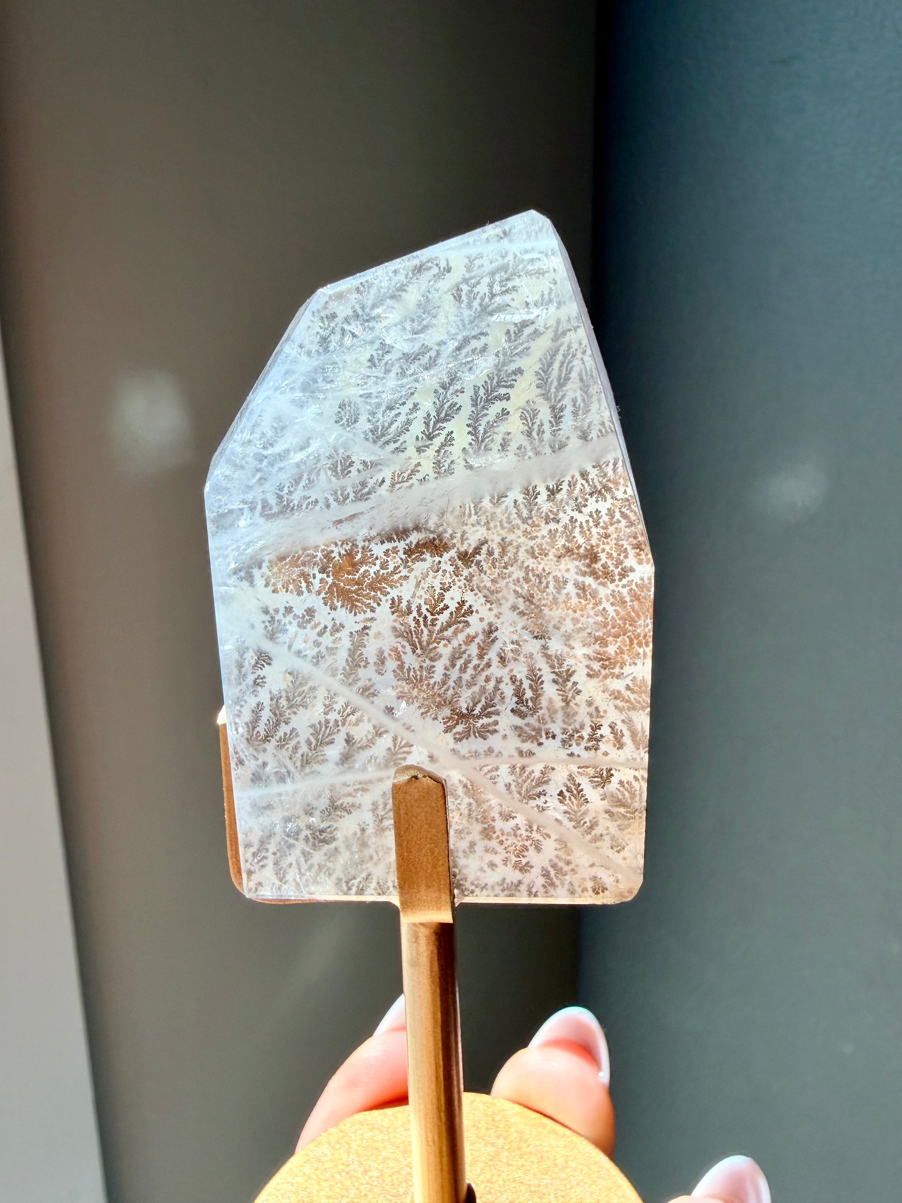 Dendritic Quartz Freeform on Gold Stand