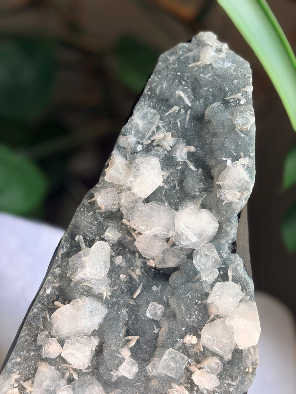 Large Raw Apophyllite & Stilbite on Druzy Chalcedony