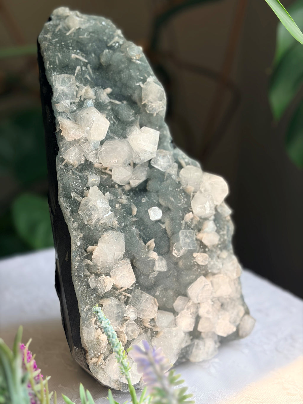 Large Raw Apophyllite & Stilbite on Druzy Chalcedony