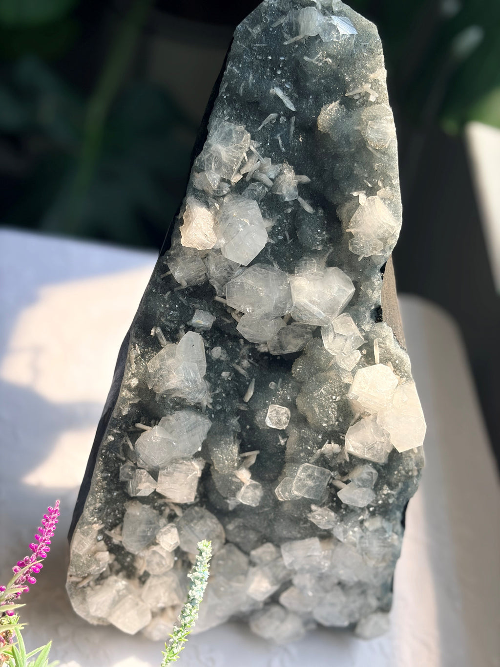 Large Raw Apophyllite & Stilbite on Druzy Chalcedony