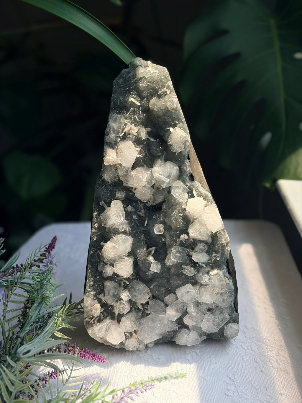 Large Raw Apophyllite & Stilbite on Druzy Chalcedony